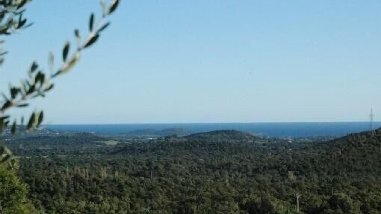 Photo of Others in Porto-Vecchio