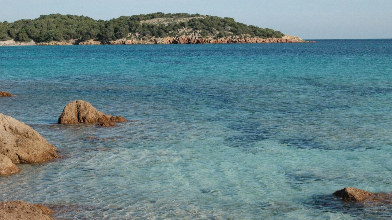 Photo of Others in Porto-Vecchio