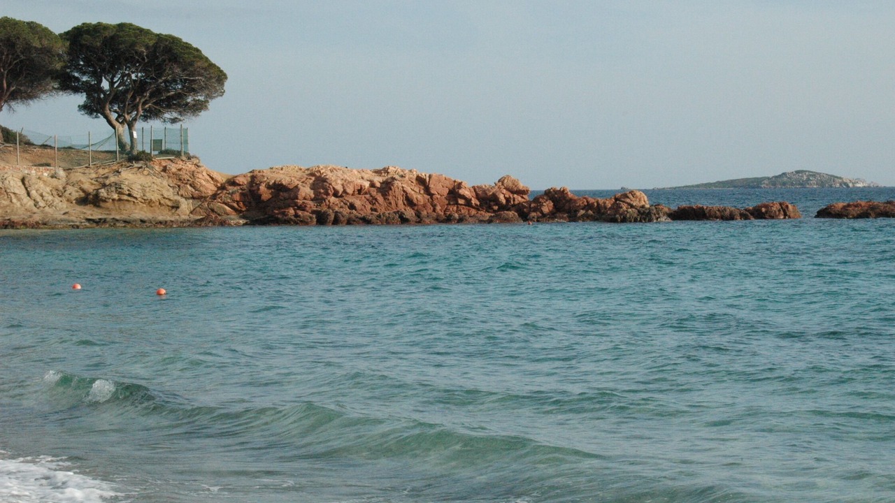Photo of Others in Porto-Vecchio
