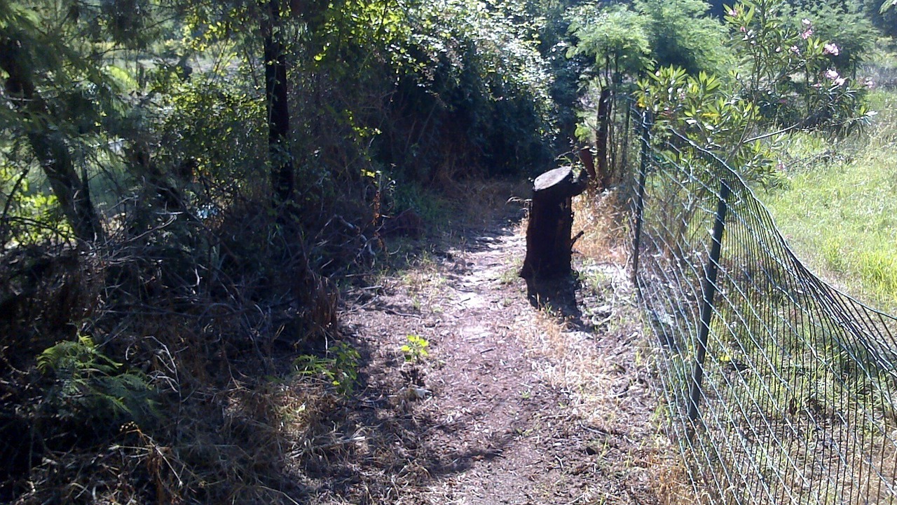 Photo of Outdoor in Venzolasca