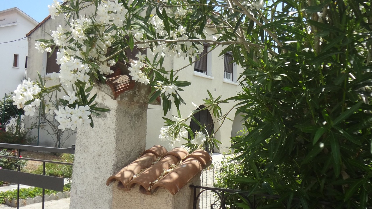 Photo of Outdoor in Ghisonaccia