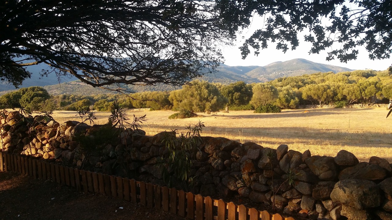 Photo of Outdoor in Serra-di-Ferro