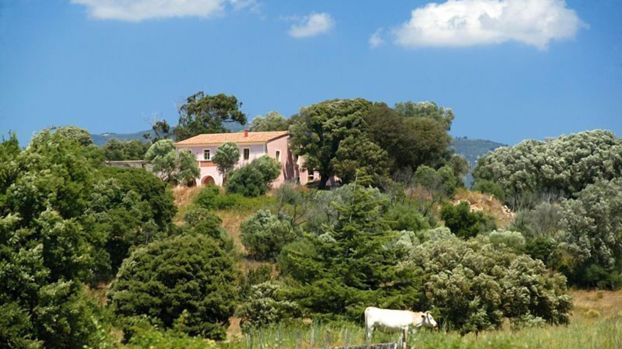 Photo of Outdoor in Sartene