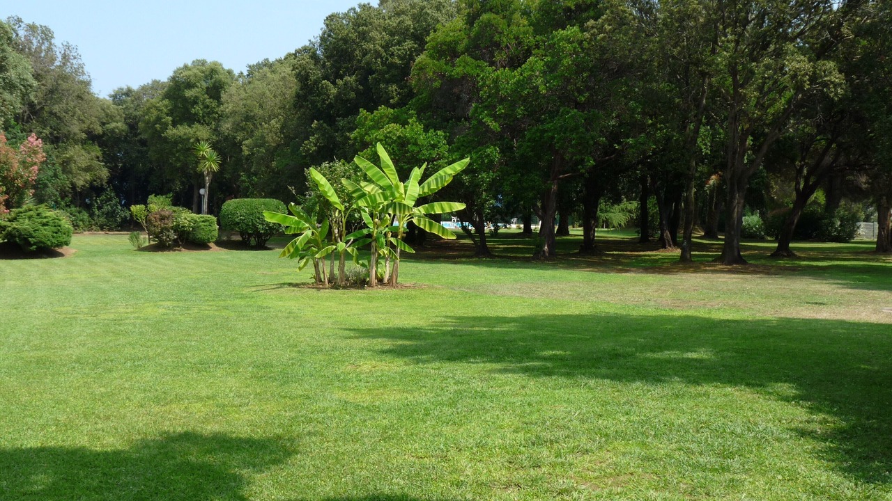 Photo of Outdoor in Santa-Maria-Poggio