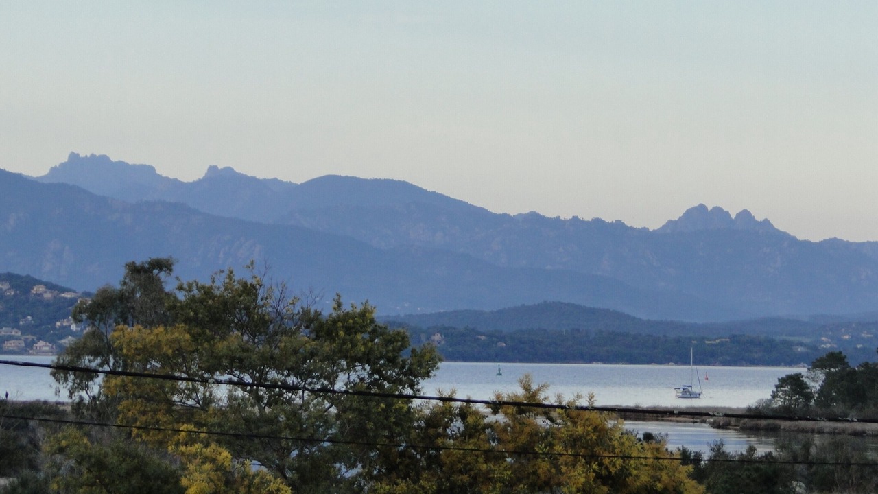 Photo of Others in Porto-Vecchio