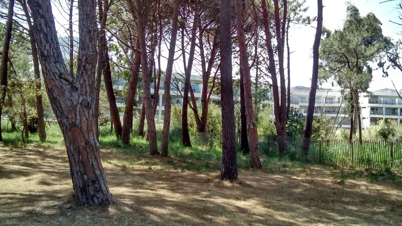 Photo of Outdoor in Calvi
