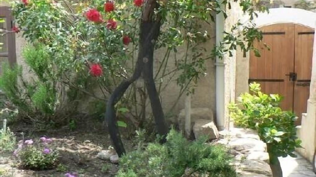 Photo of Outdoor in Santa-Reparata-di-Balagna