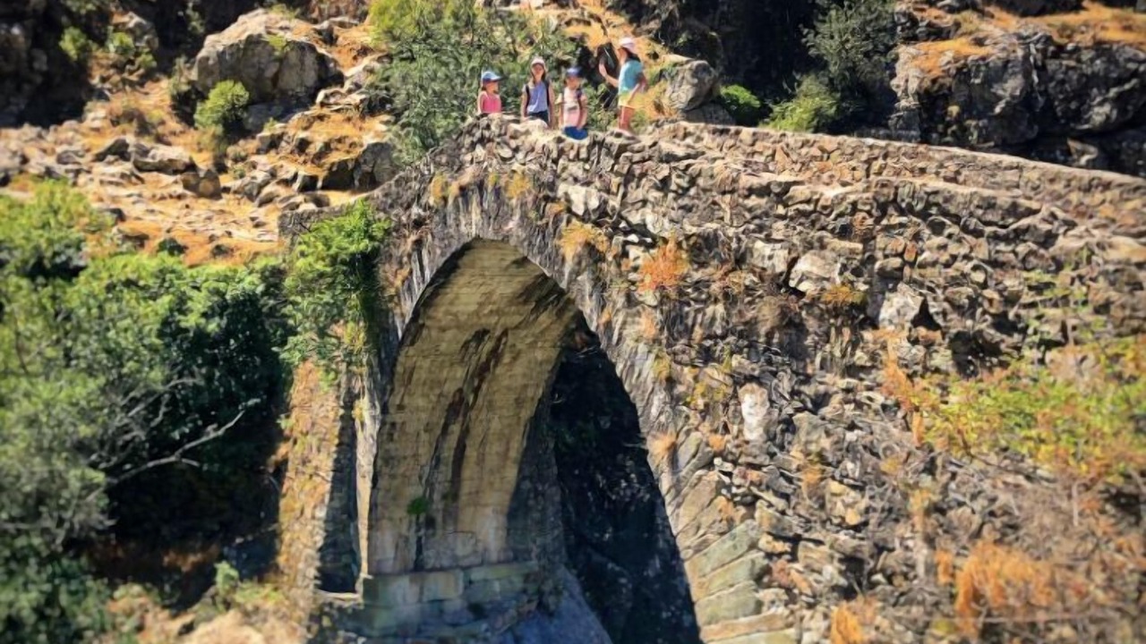 Photo of Others in Moltifao