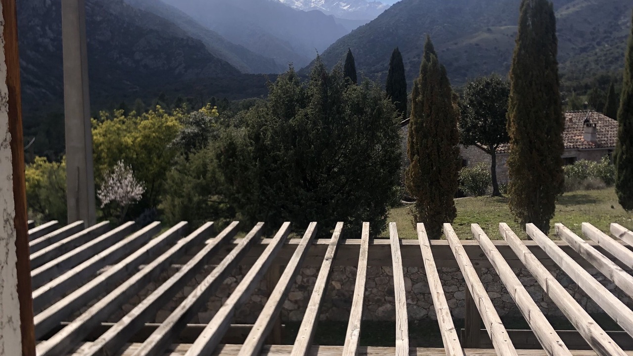 Photo of Outdoor in Moltifao