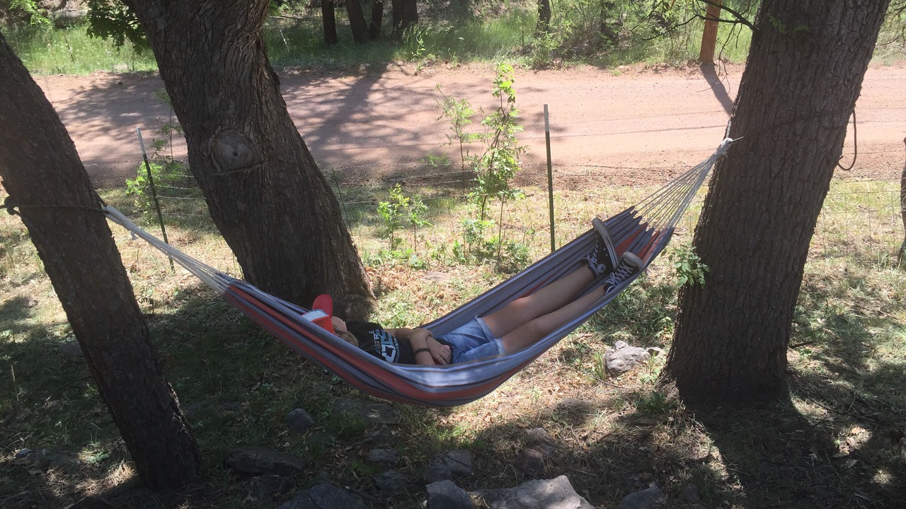 Photo of Others in Payson