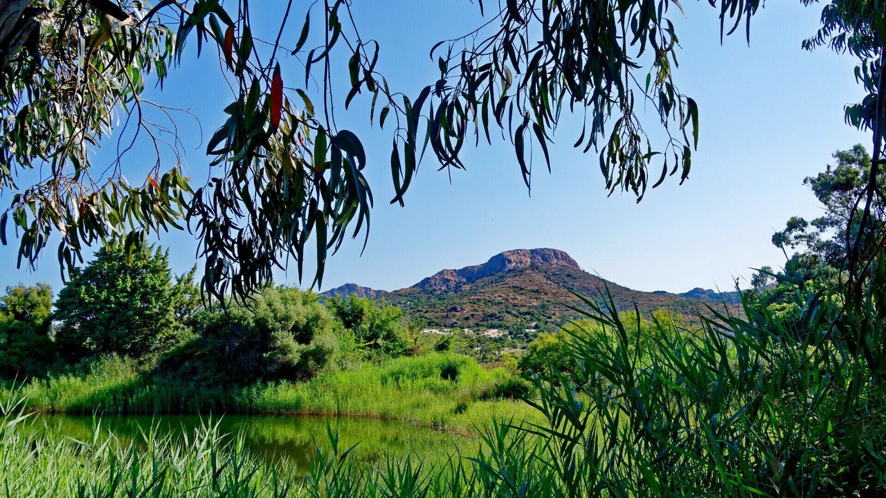 Photo of Outdoor in Palasca