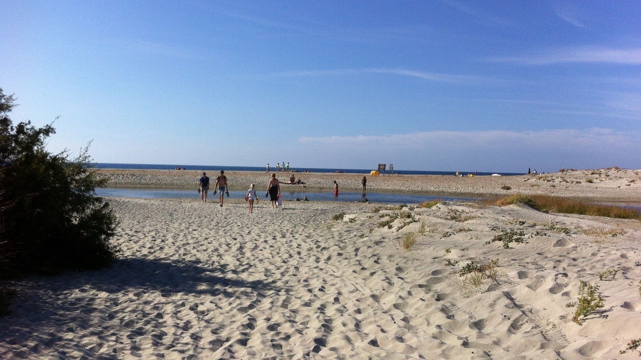 Photo of Others in Palasca