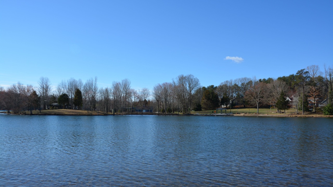 Photo of Others in Bumpass