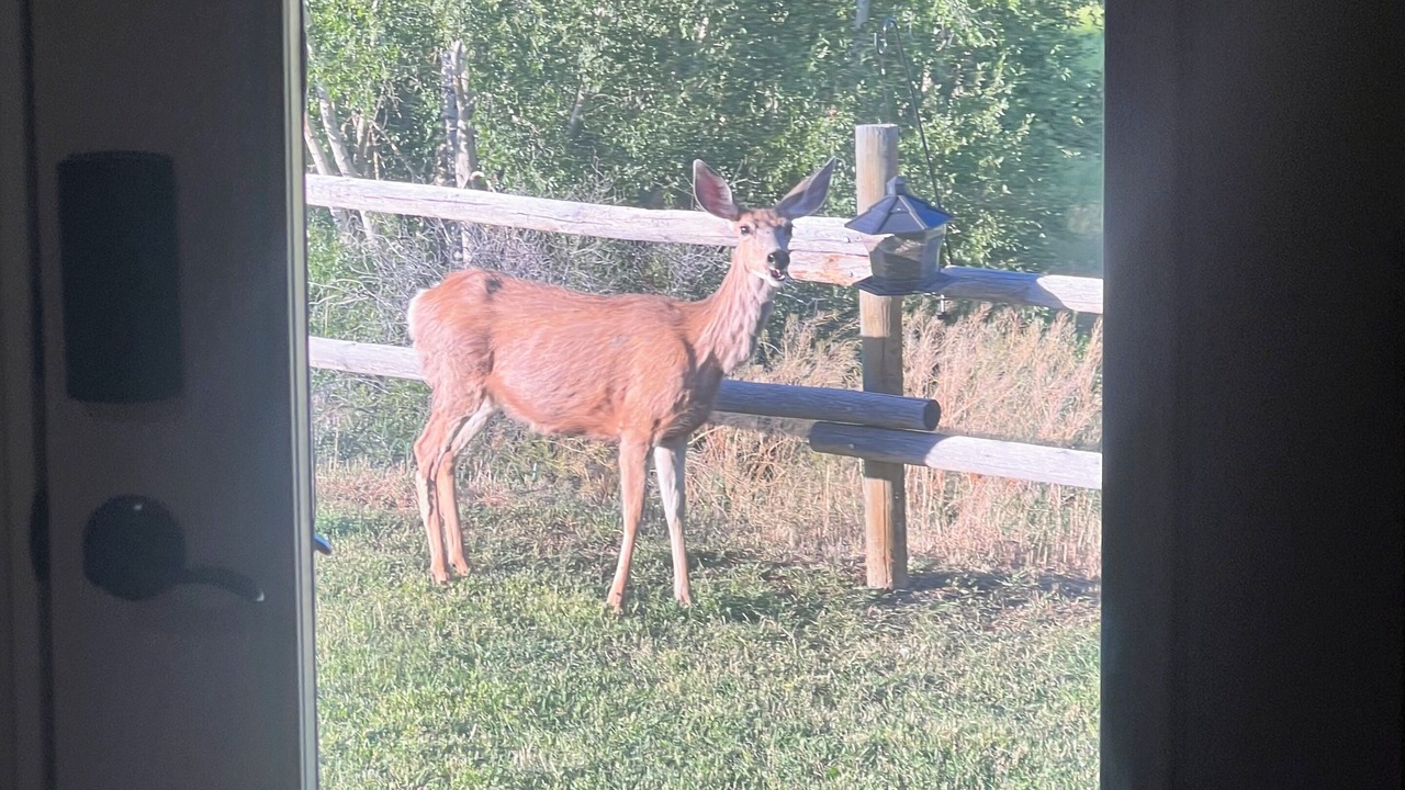 Photo of Others in Meeteetse