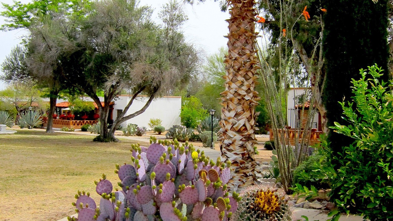 Photo of Outdoor in Haven Green Valley East