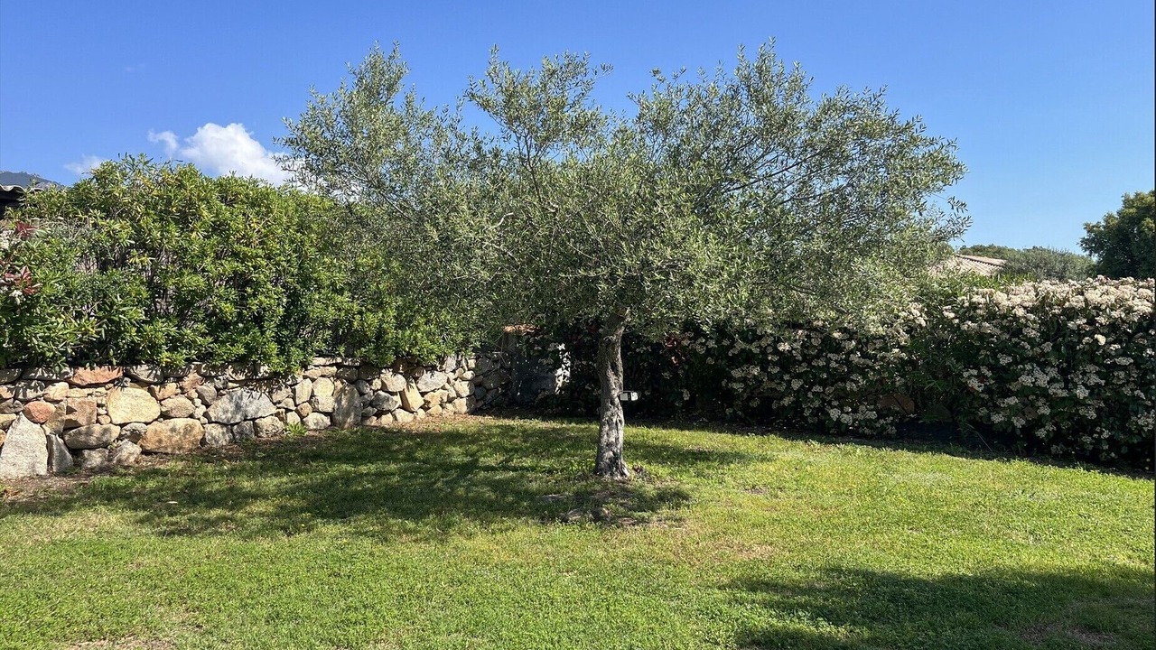 Photo of Outdoor in Sotta