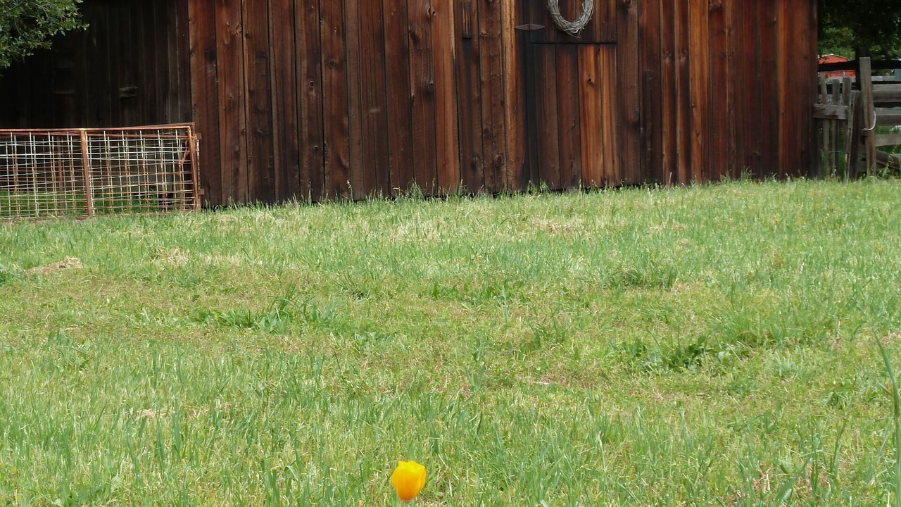 Photo of Others in Boonville