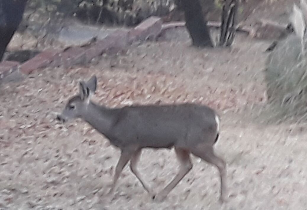 Photo of Others in Three Rivers