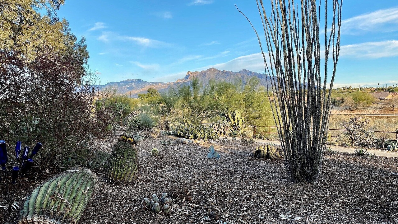 Photo of Outdoor in Casas Adobes