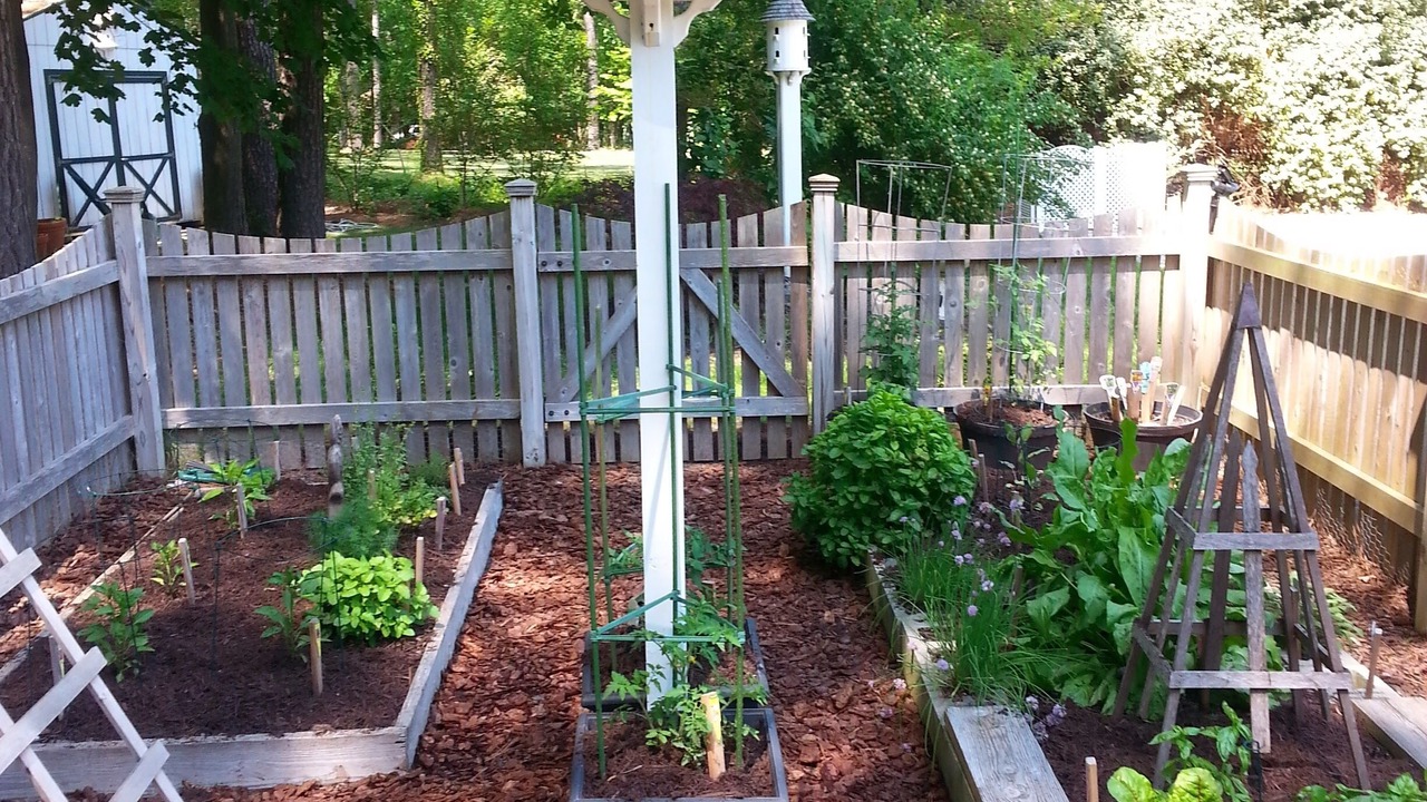 Photo of Outdoor in St. Michaels