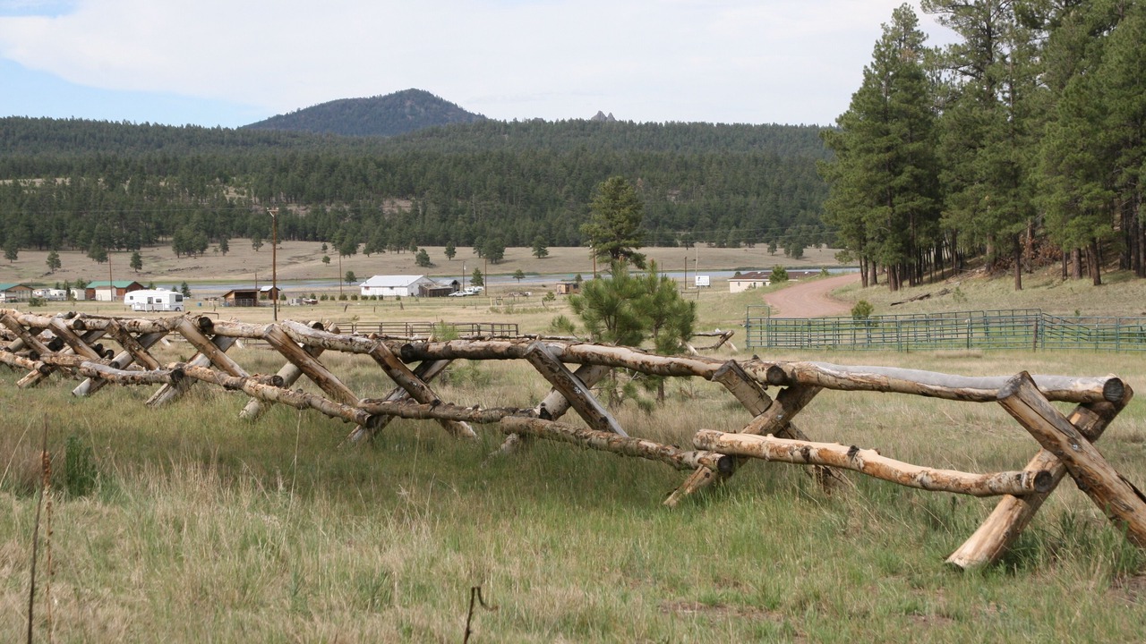 Photo of Outdoor in Alpine