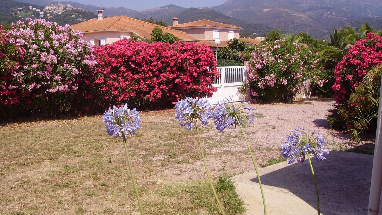 Photo of Outdoor in Furiani