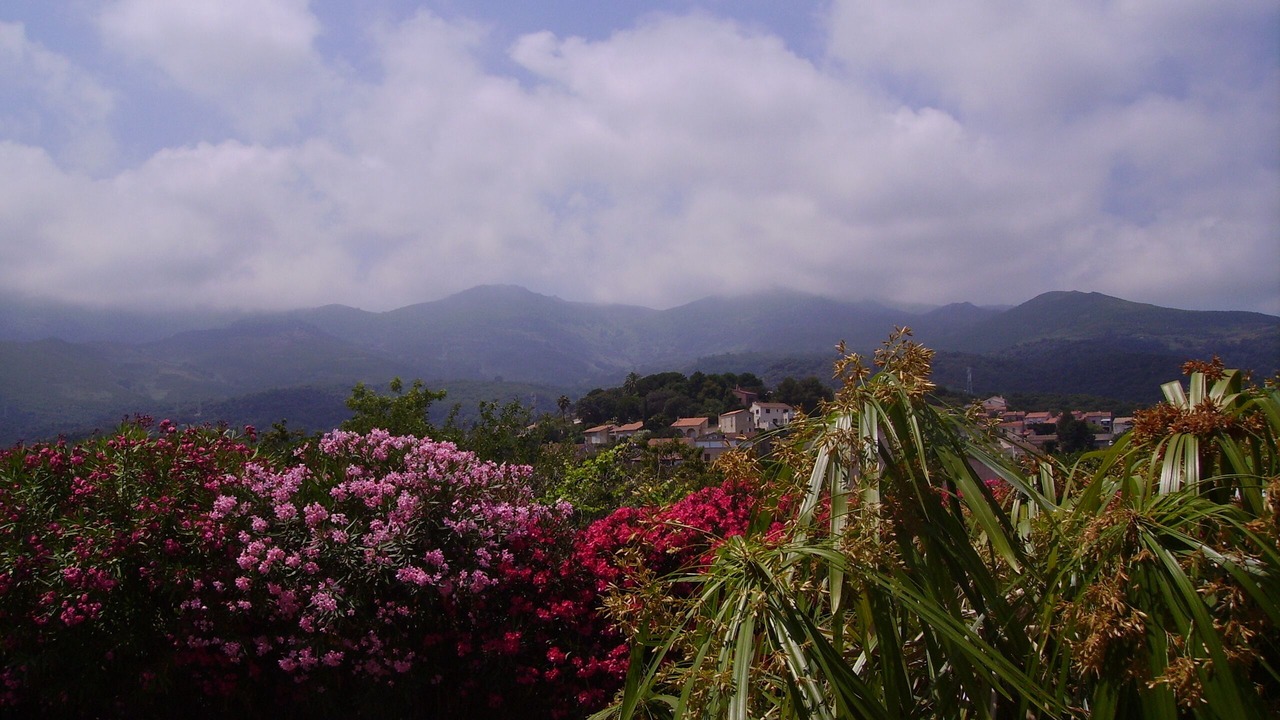Photo of Outdoor in Furiani