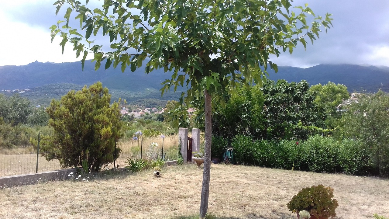 Photo of Outdoor in Furiani