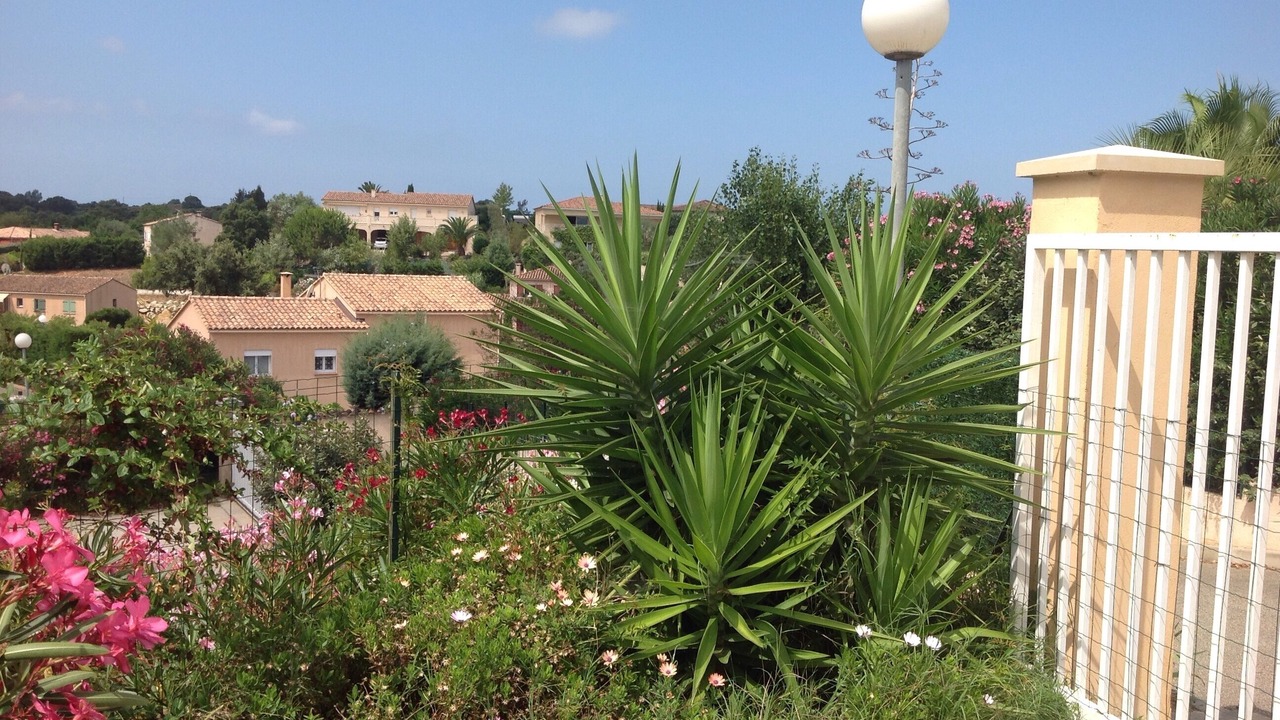 Photo of Outdoor in Porticcio