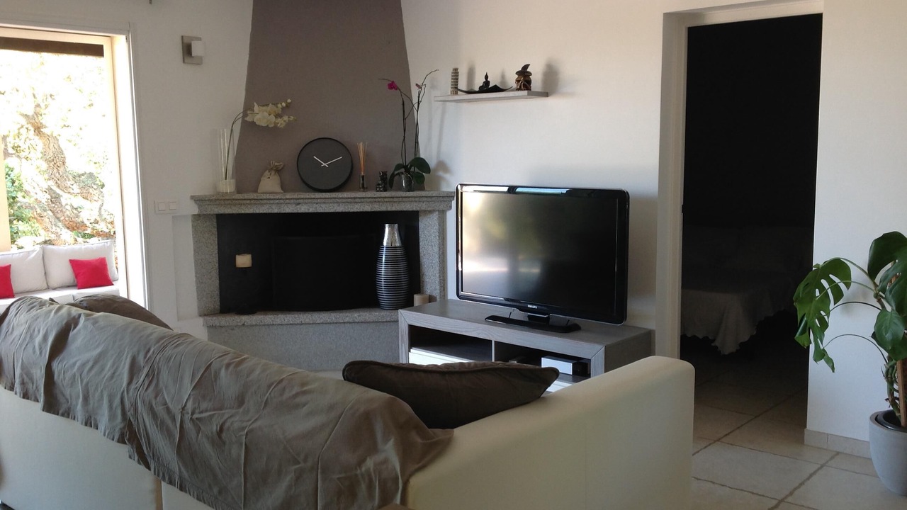 Photo of Livingroom in Monacia-d'Aullene