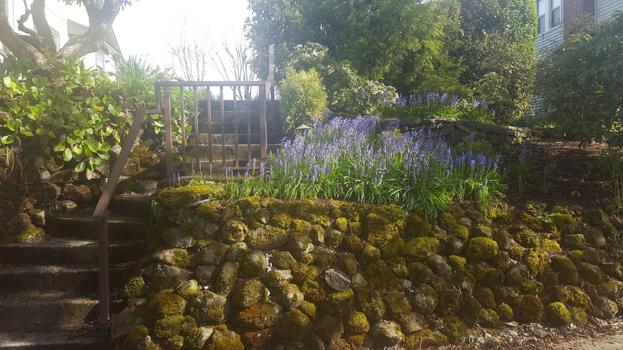 Photo of Outdoor in Richmond