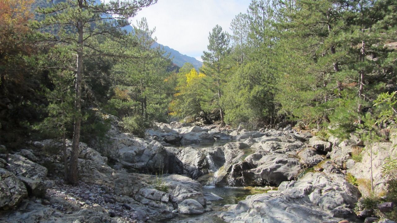 Photo of Outdoor in Lozari