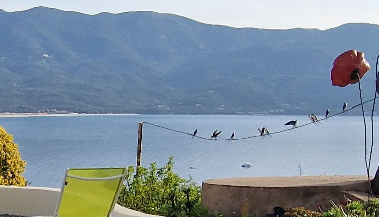 Photo of Others in Tiuccia