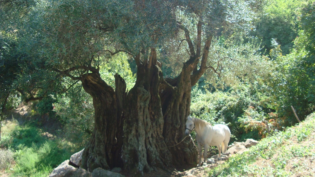Photo of Outdoor in Costa