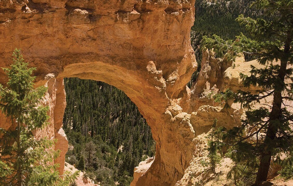 Photo of Others in St. George