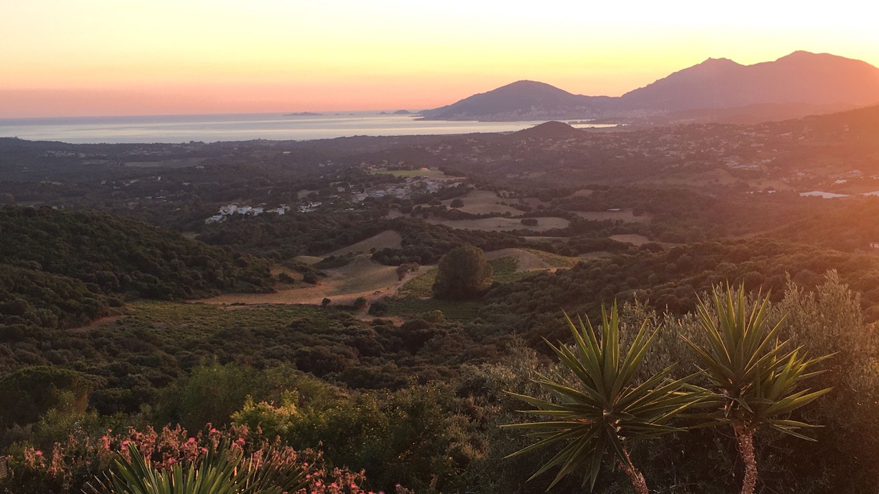 Photo of Outdoor in Eccica-Suarella