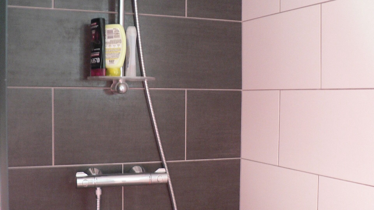 Photo of Bathroom in L'Ile-Rousse