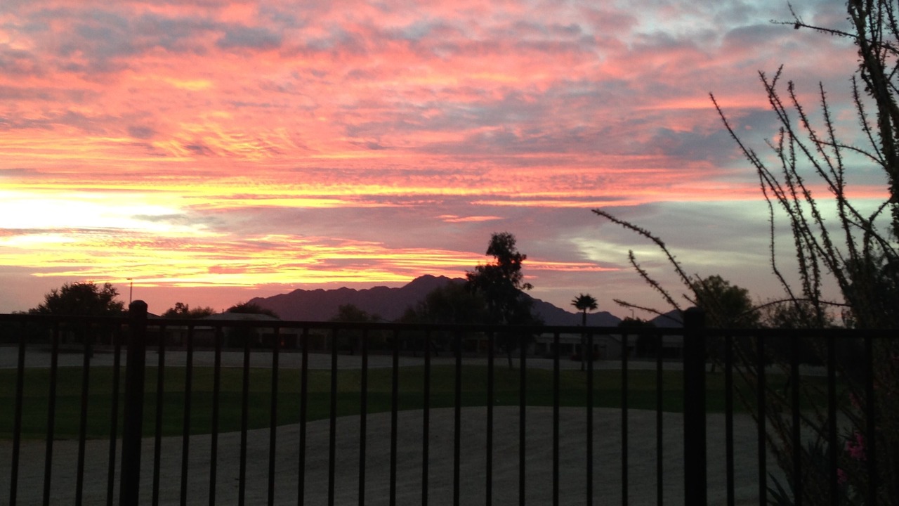 Photo of Outdoor in Springfield Lakes