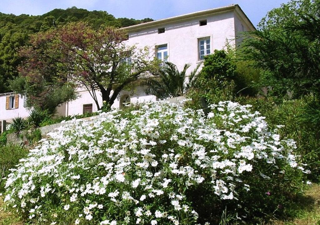 Photo of Outdoor in Ersa