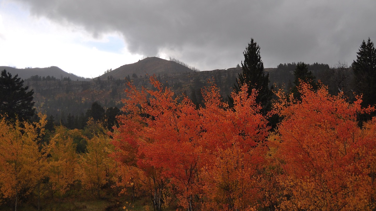 Photo of Others in Park County