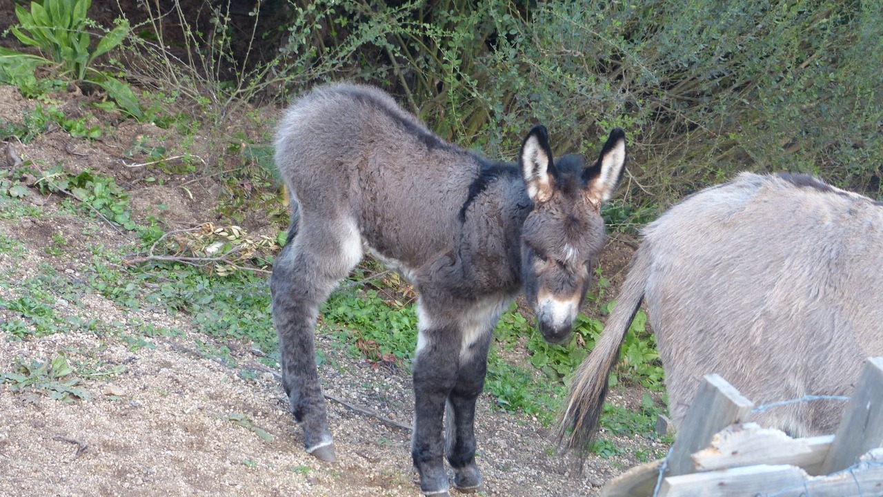 Photo of Outdoor in Arbellara