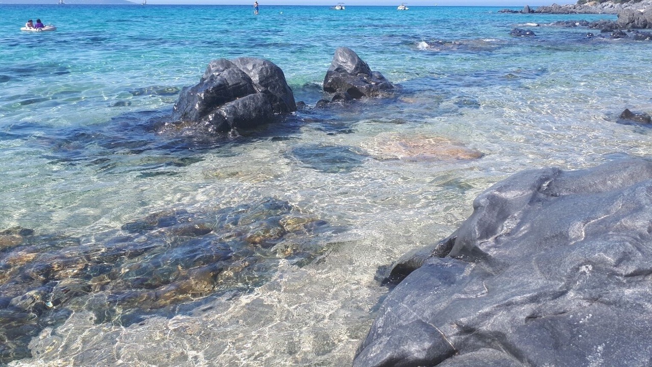 Photo of Others in Arbellara