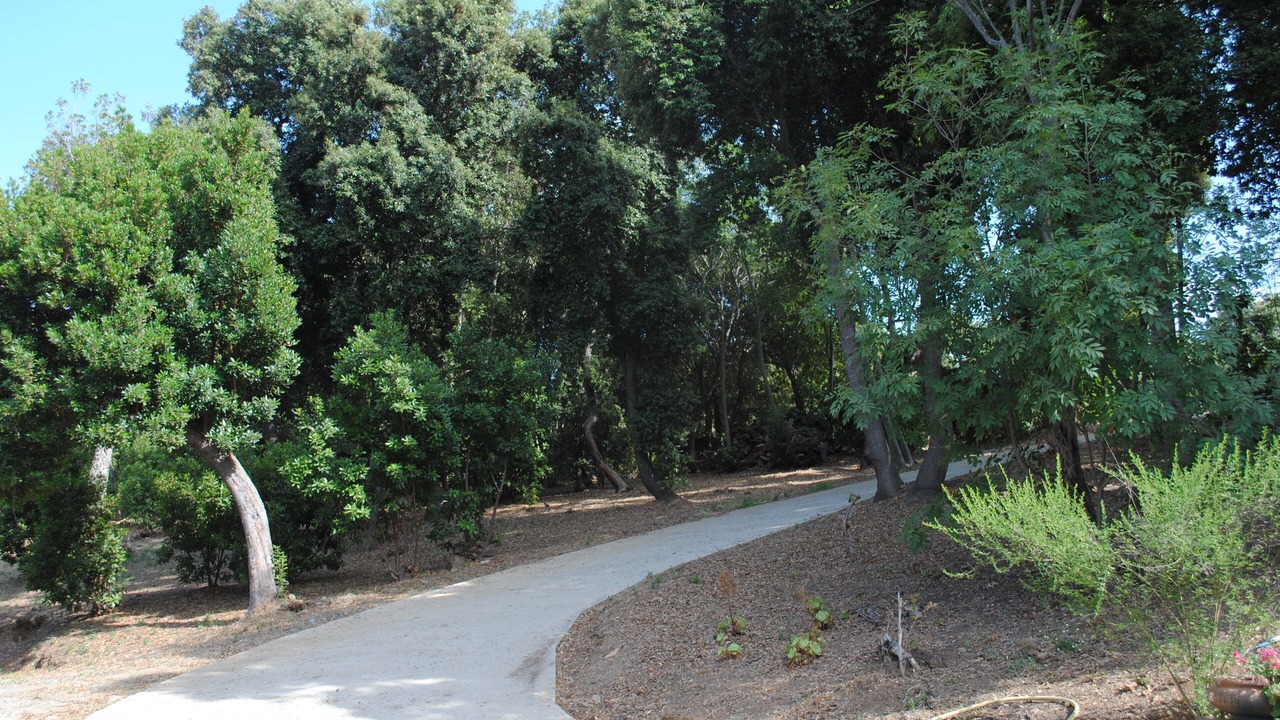 Photo of Outdoor in Prunete