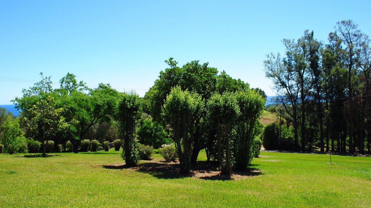 Photo of Outdoor in Prunete