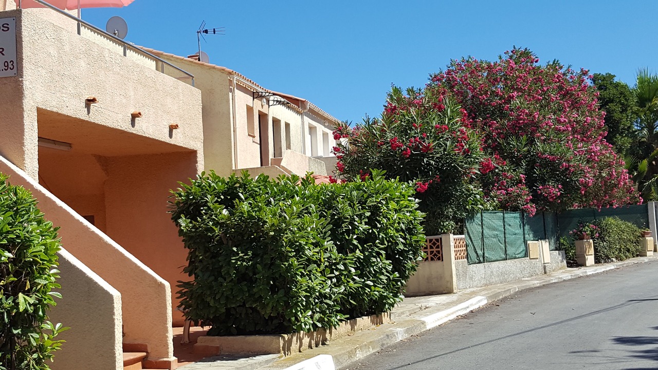 Photo of Outdoor in Bravone