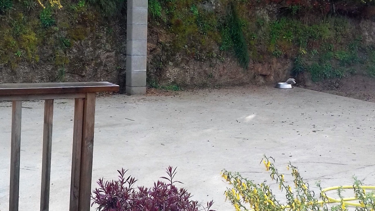 Photo of Outdoor in Sartene