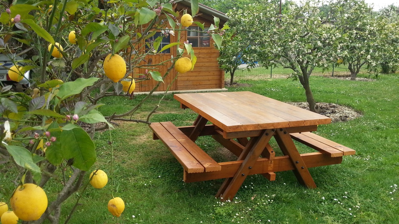 Photo of Outdoor in Morta