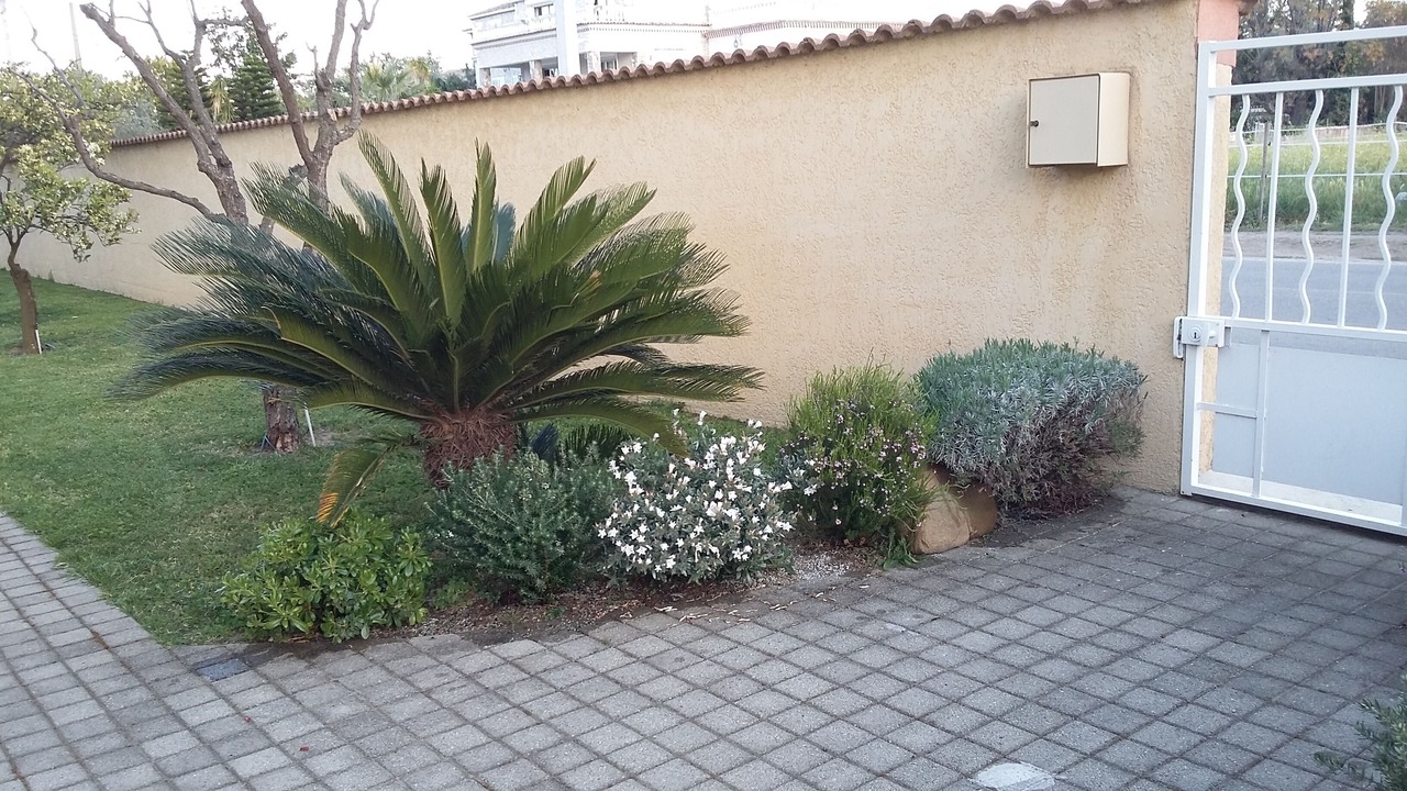 Photo of Outdoor in Morta