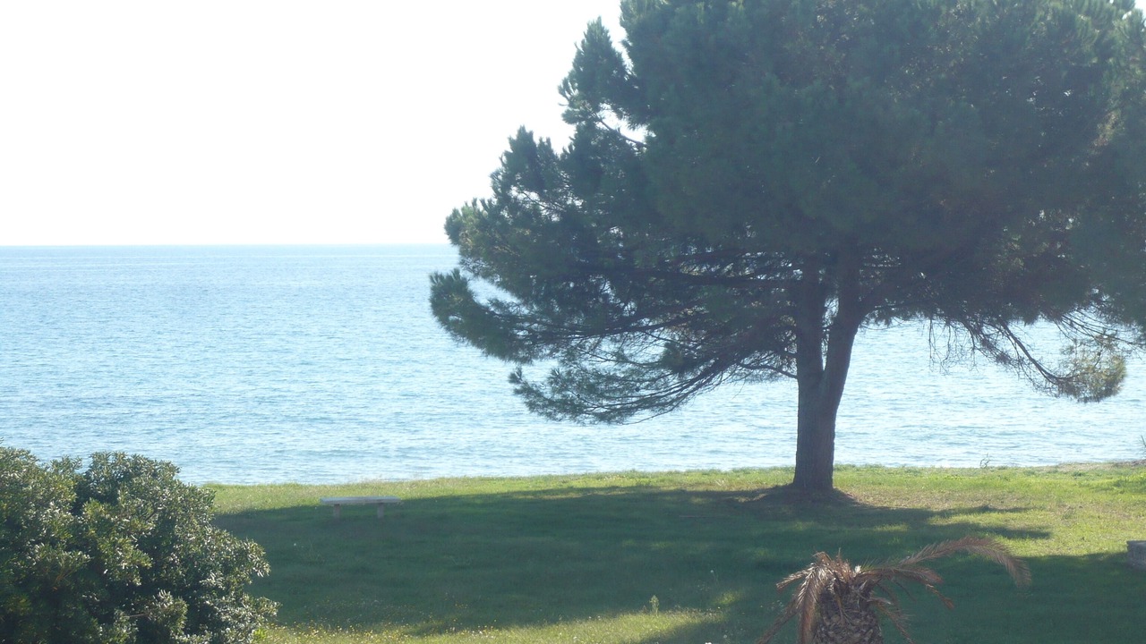 Photo of Outdoor in Santa-Lucia-di-Moriani