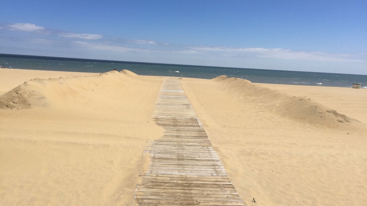 Photo of Others in Northeast Virginia Beach